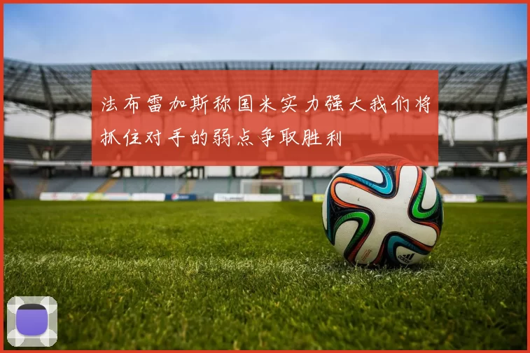 法布雷加斯称国米实力强大我们将抓住对手的弱点争取胜利